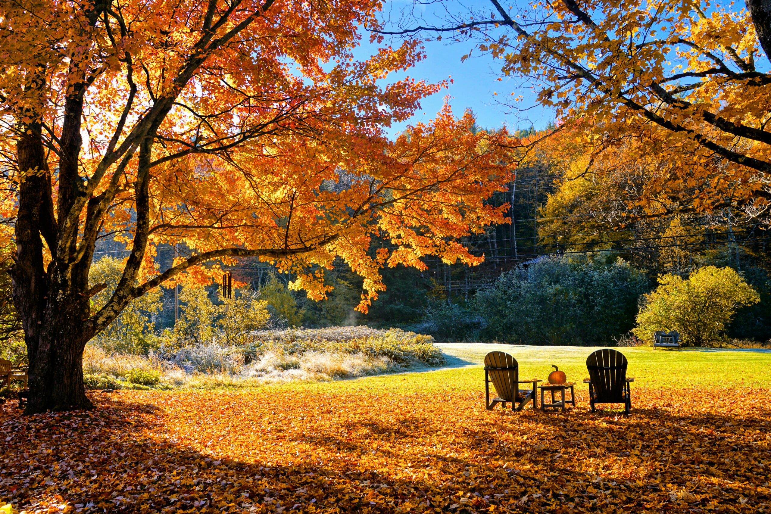 Ways to Make Your House Cozy for Fall Showings